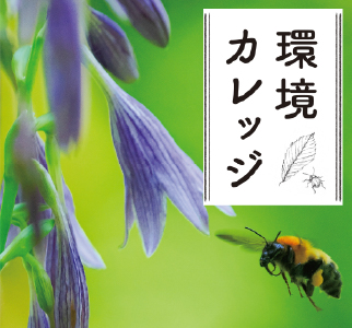 環境カレッジ